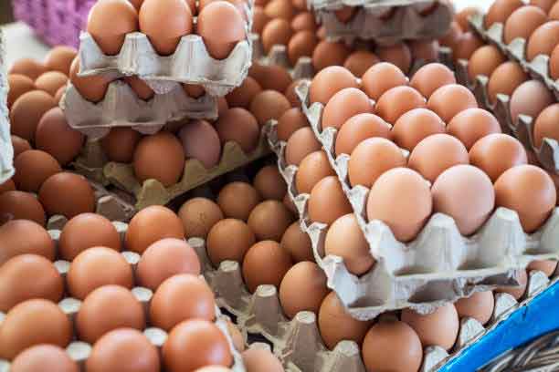 بهترین فروش و پخش تخم مرغ در تهران