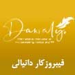 بهترین مدرس فیبروزکار دانیالی در مشهد