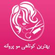 بهترین-کوتاهی-مو-پروانه-در-مشهد.jpg