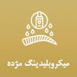 میکروبلیدینگ-مژده-صادقی-در-مشهد1.jpg