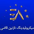 میکروبلیدینگ-نازنین-قاضی-در-مشهد.jpg