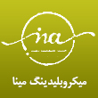 میکروبلیدینگ مینا ابراهیم زاده در مشهد 